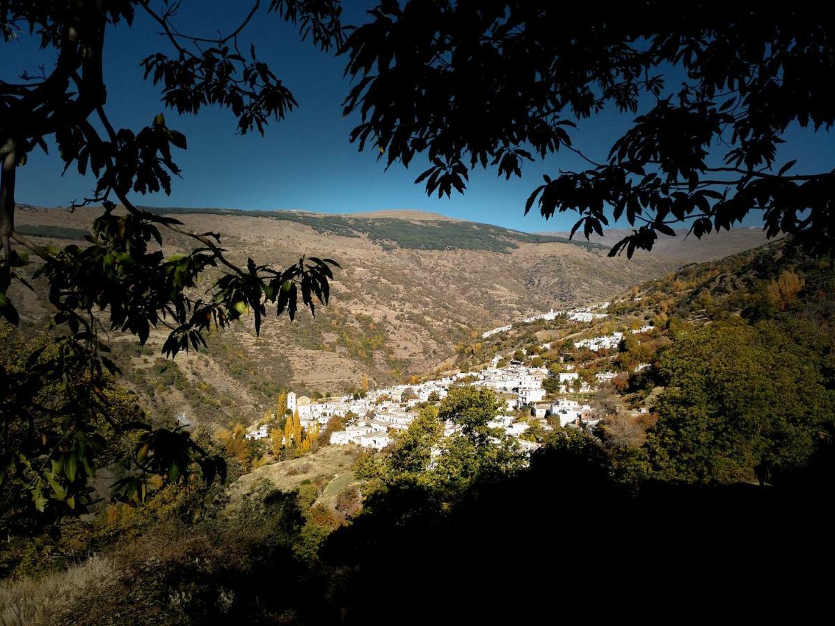 Casas Rurales Encarnita Bubion Bagian luar foto